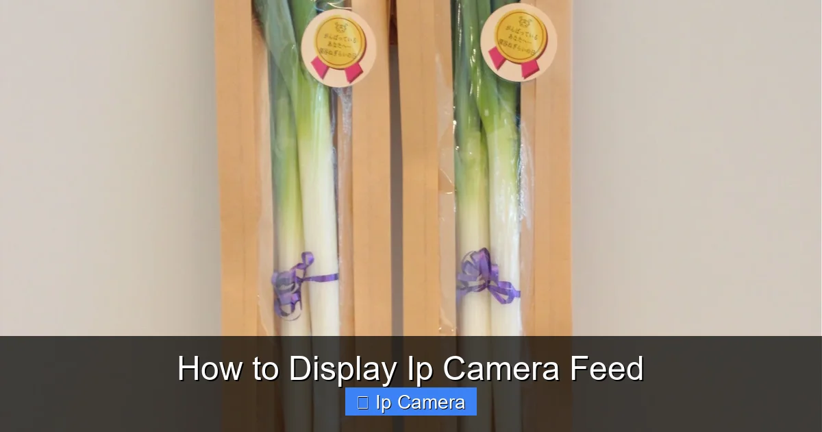 How to Display Ip Camera Feed