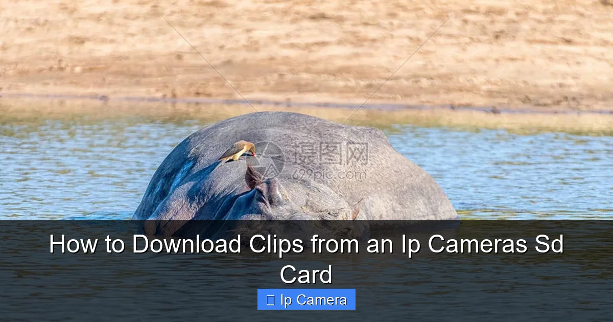 How to Download Clips from an Ip Cameras Sd Card