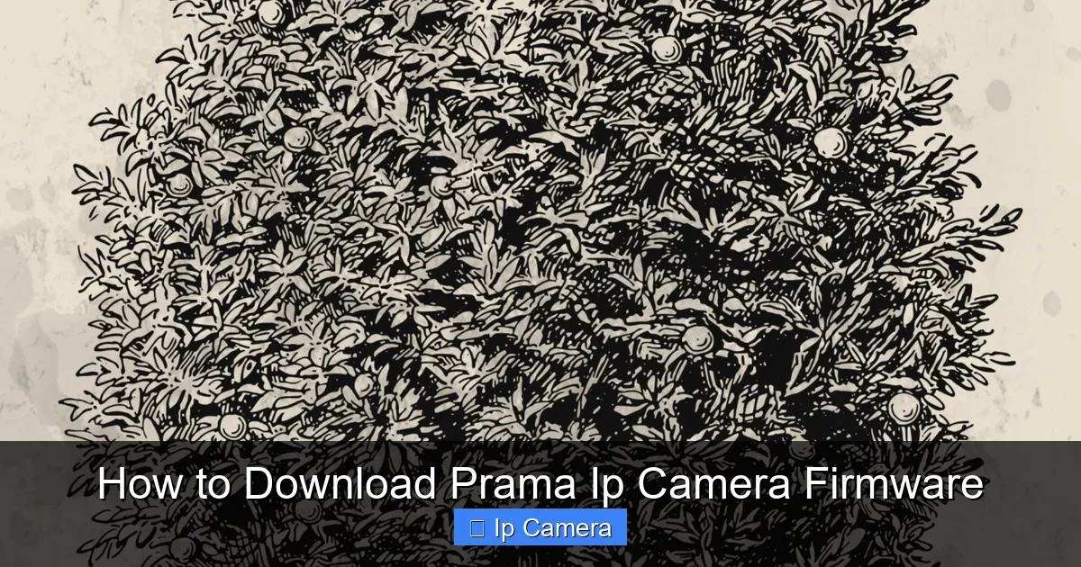 How to Download Prama Ip Camera Firmware