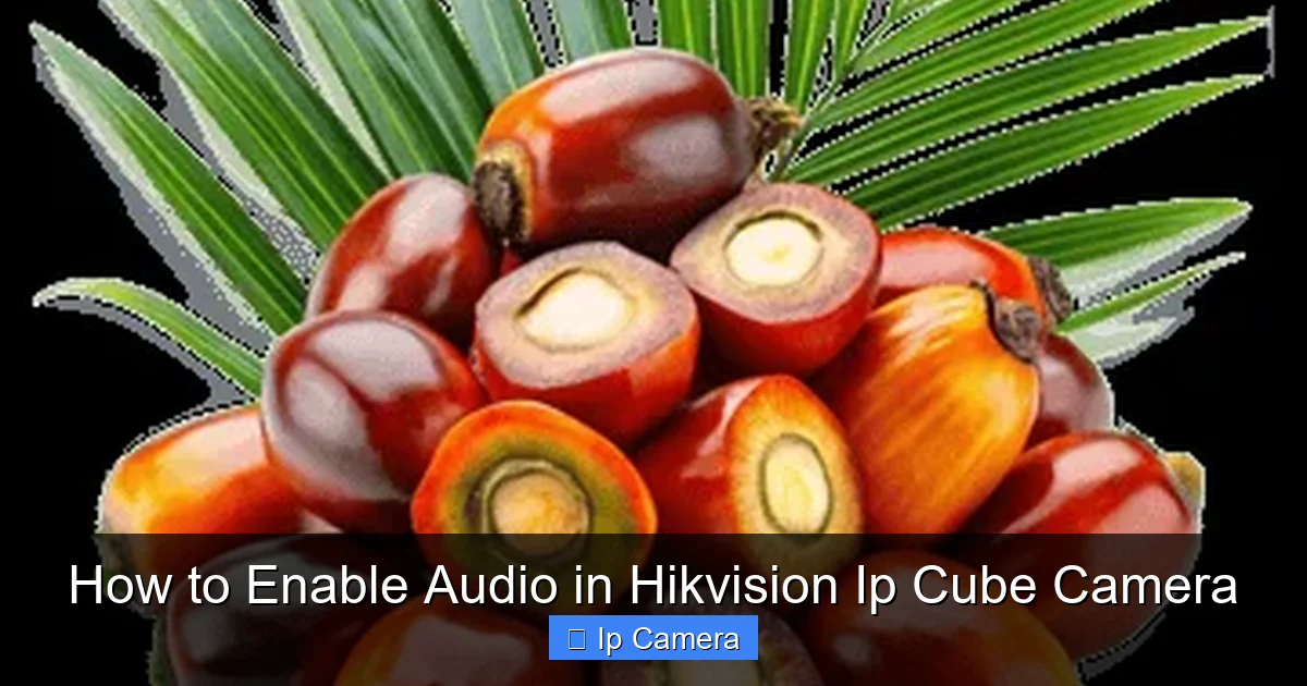 How to Enable Audio in Hikvision Ip Cube Camera