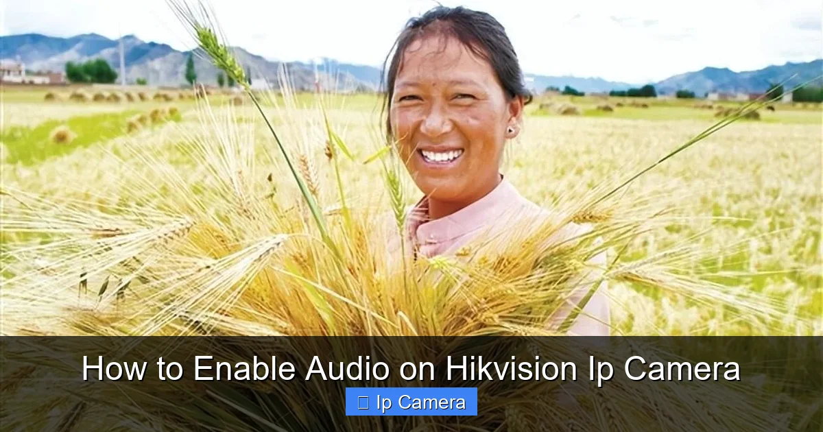 How to Enable Audio on Hikvision Ip Camera