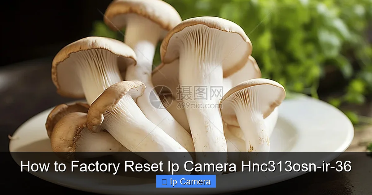 How to Factory Reset Ip Camera Hnc313osn-ir-36