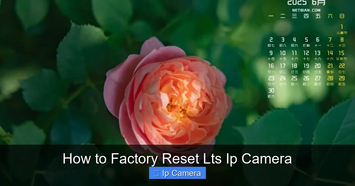How to Factory Reset Lts Ip Camera