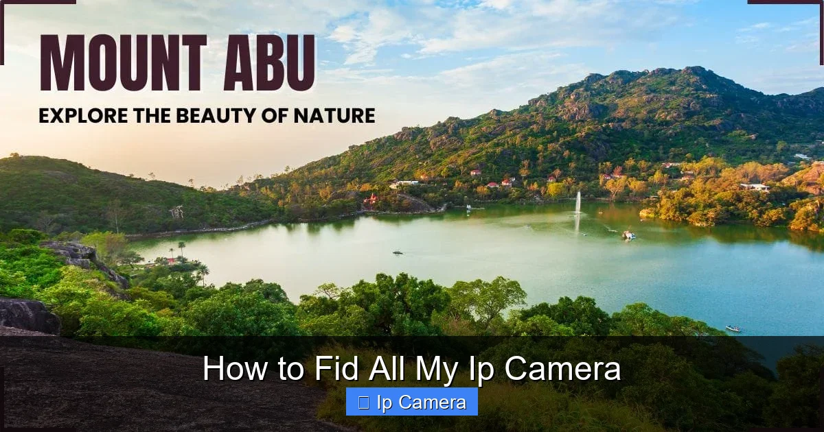 How to Fid All My Ip Camera