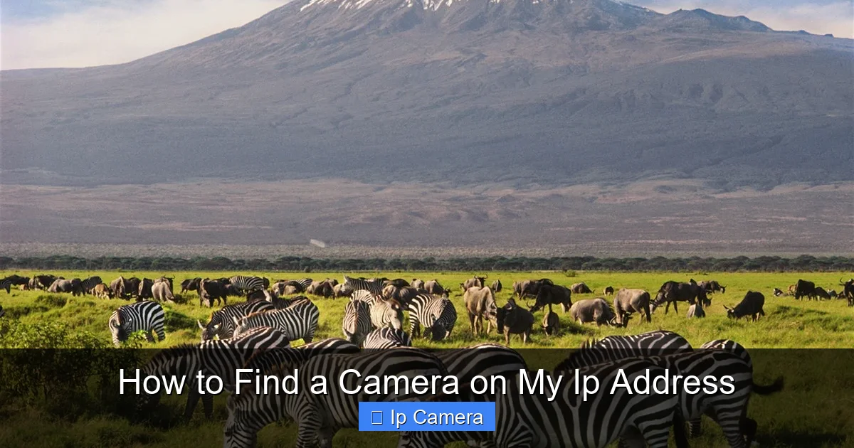How to Find a Camera on My Ip Address