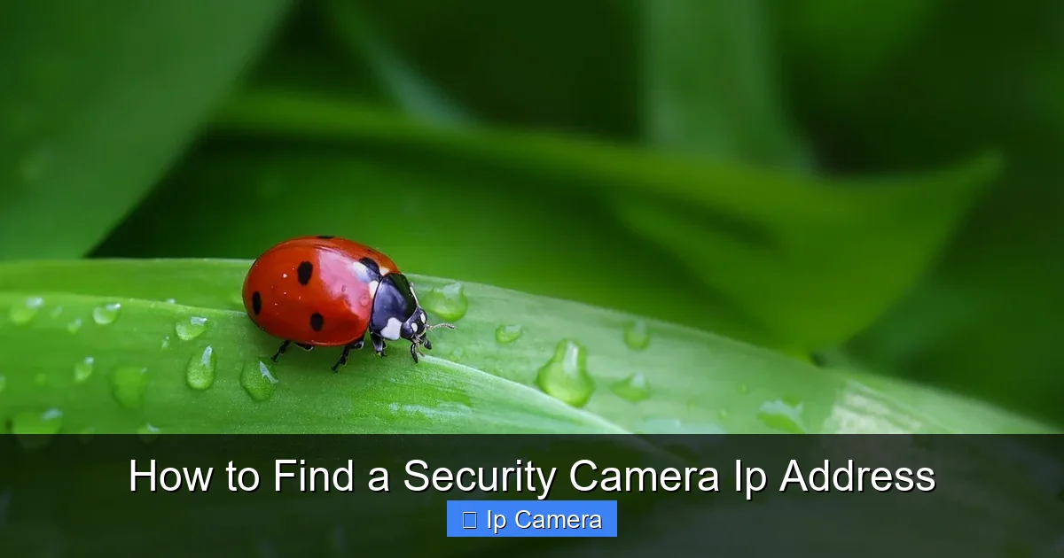 How to Find a Security Camera Ip Address