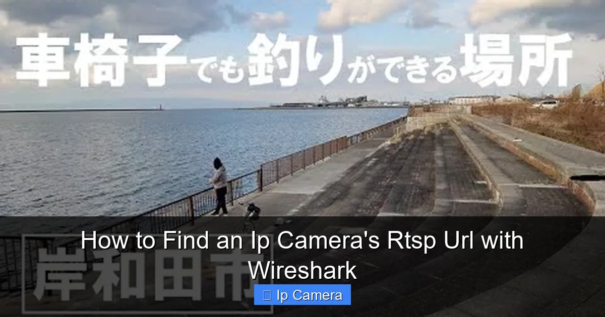 How to Find an Ip Camera's Rtsp Url with Wireshark