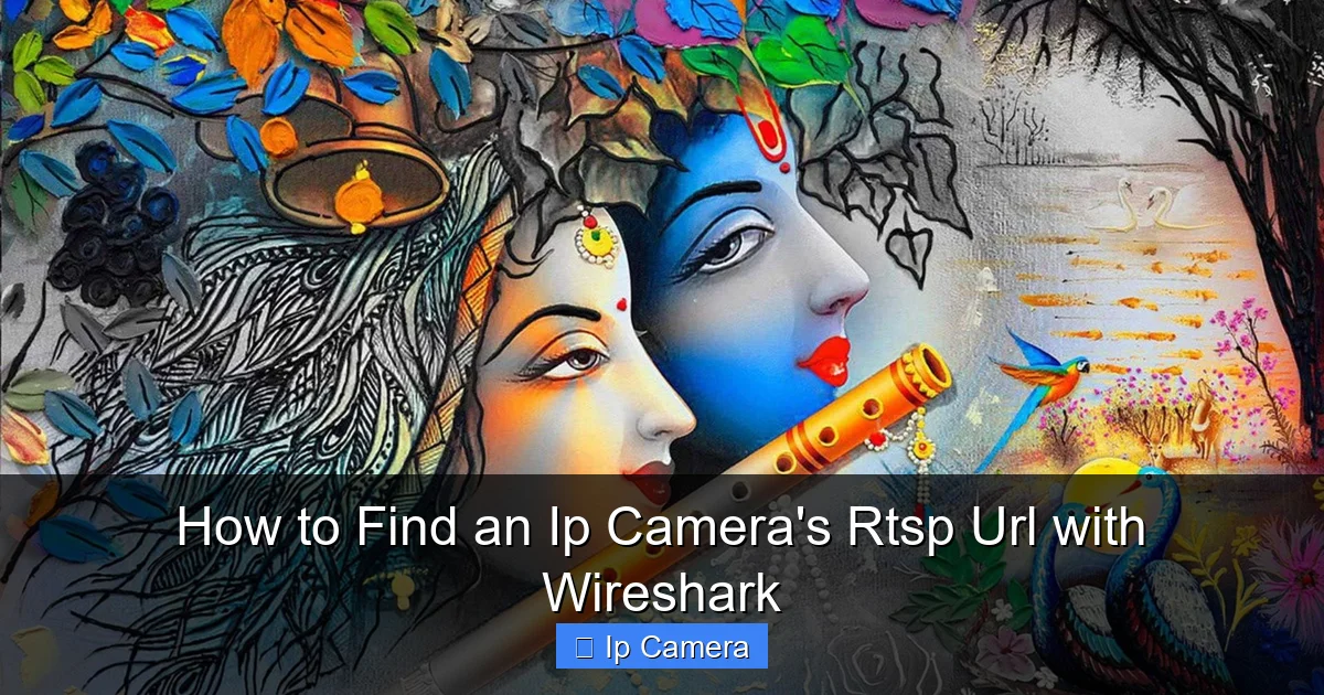 How to Find an Ip Camera's Rtsp Url with Wireshark