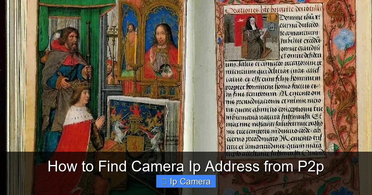 How to Find Camera Ip Address from P2p