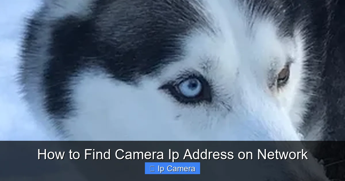 How to Find Camera Ip Address on Network