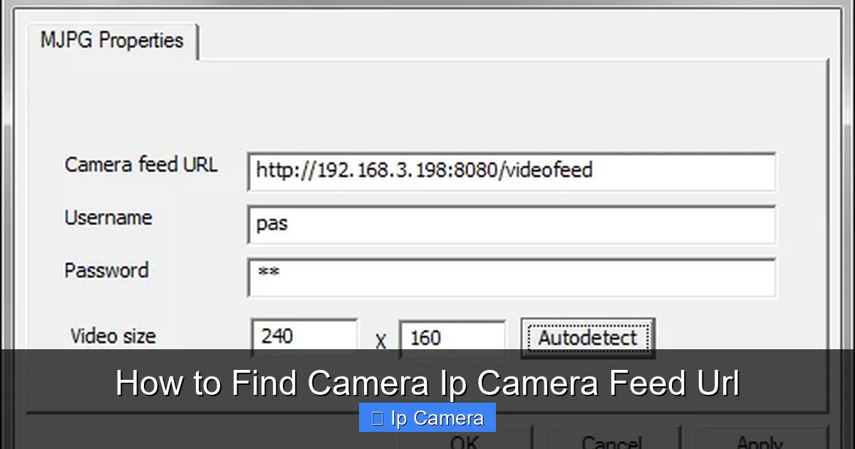 How to Find Camera Ip Camera Feed Url