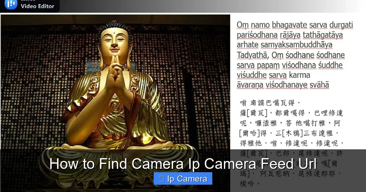 How to Find Camera Ip Camera Feed Url