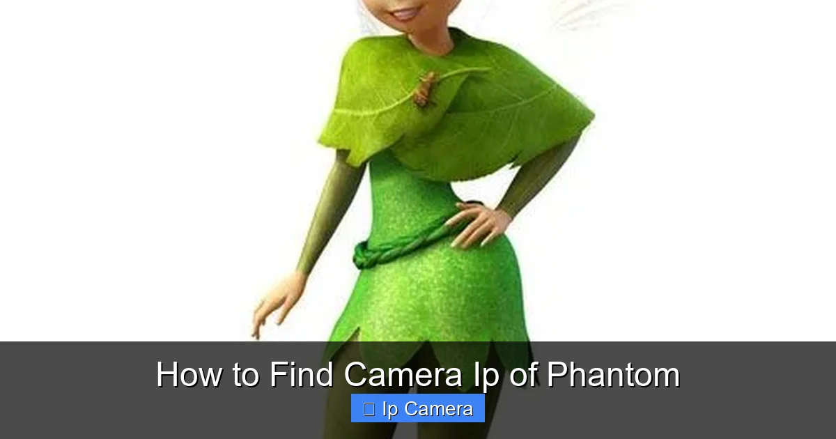 How to Find Camera Ip of Phantom