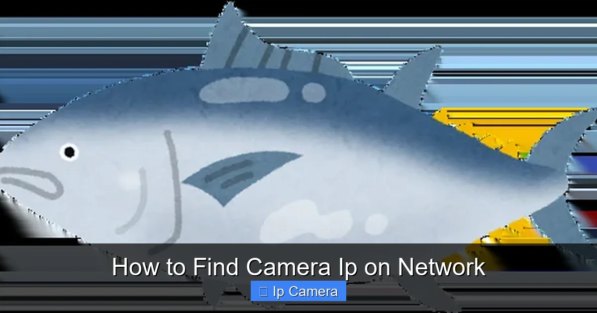How to Find Camera Ip on Network