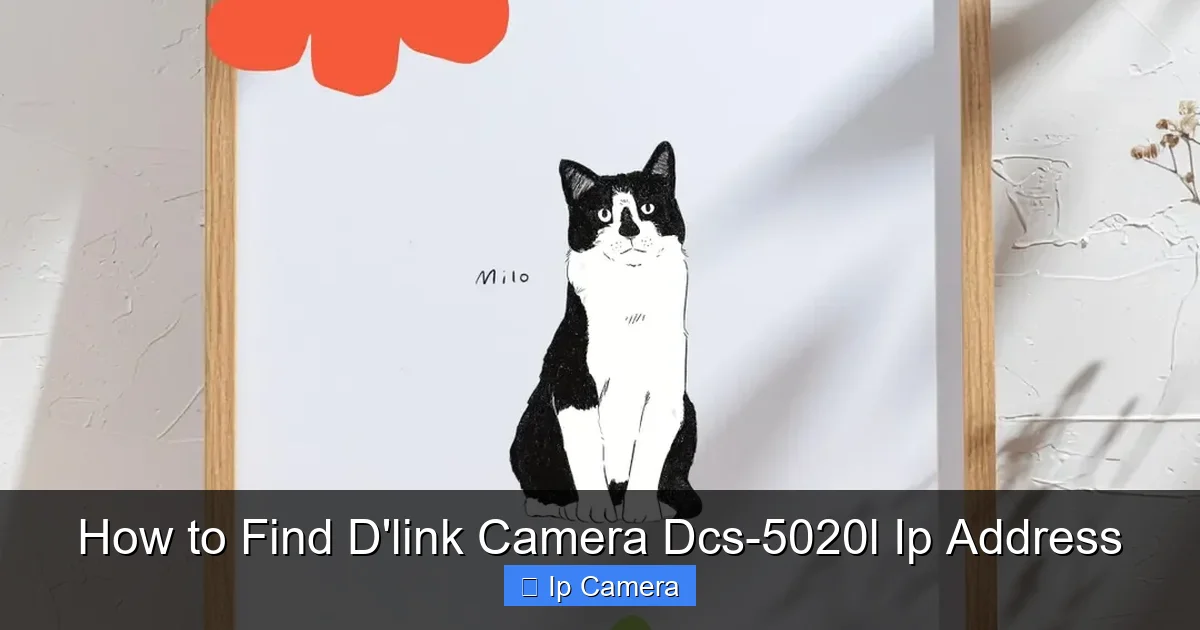How to Find D'link Camera Dcs-5020l Ip Address