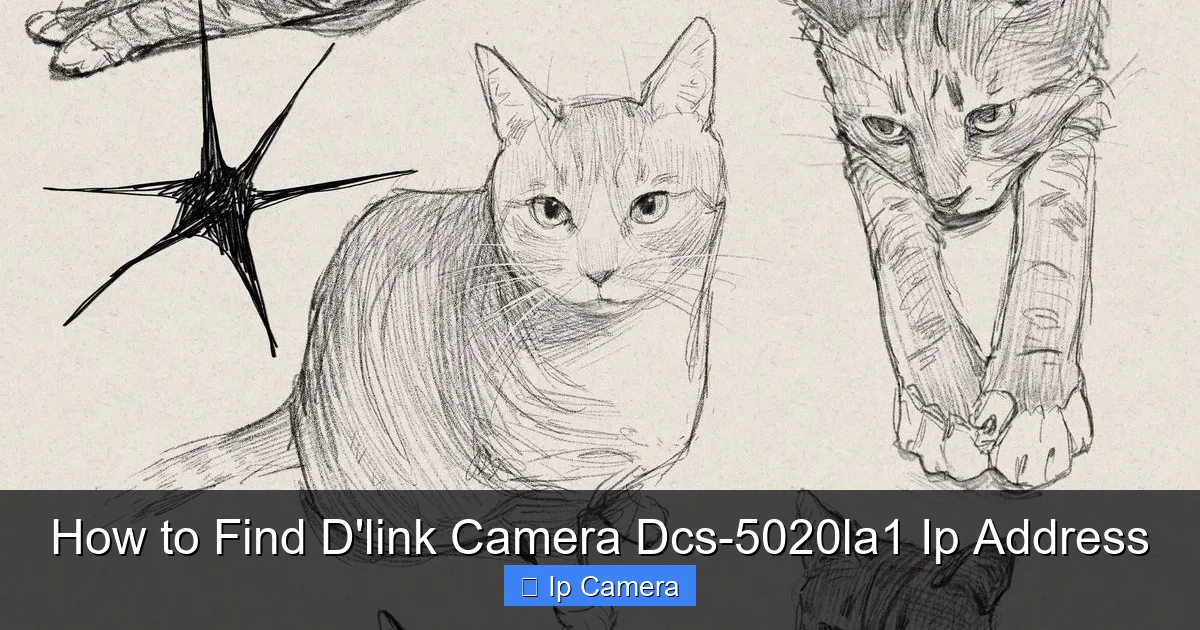 How to Find D'link Camera Dcs-5020la1 Ip Address