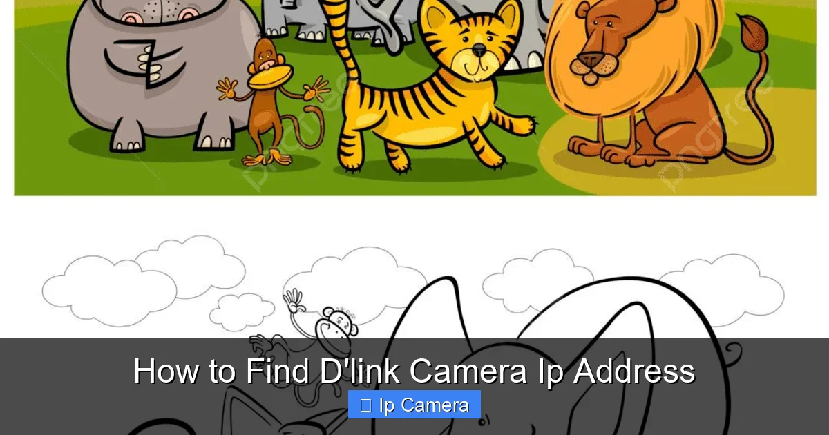 How to Find D'link Camera Ip Address
