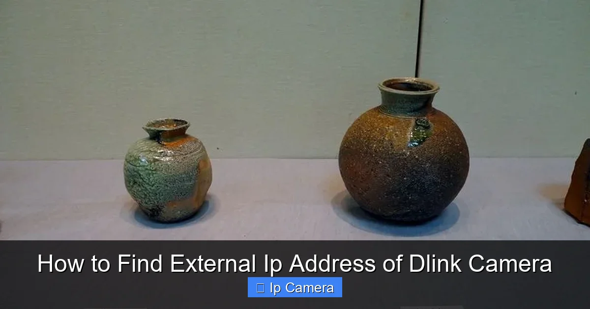 How to Find External Ip Address of Dlink Camera