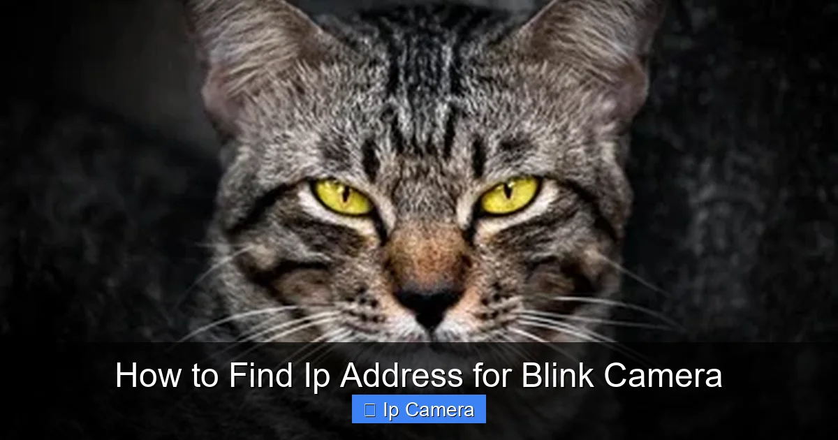 How to Find Ip Address for Blink Camera