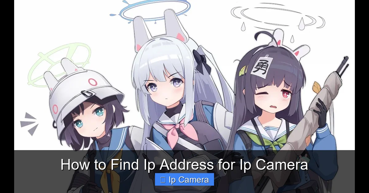 How to Find Ip Address for Ip Camera