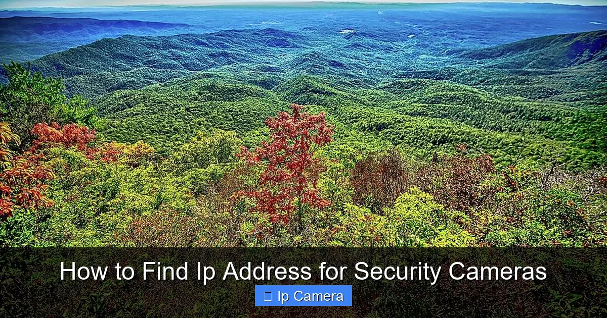 How to Find Ip Address for Security Cameras