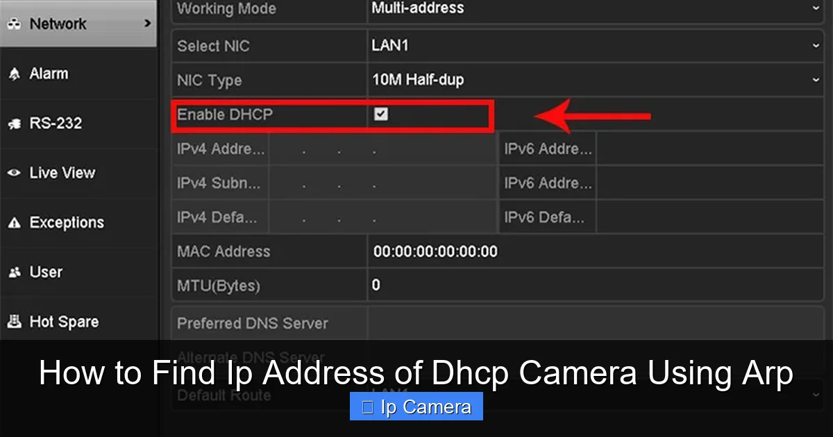 How to Find Ip Address of Dhcp Camera Using Arp