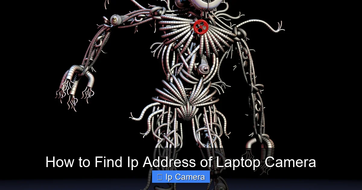 How to Find Ip Address of Laptop Camera