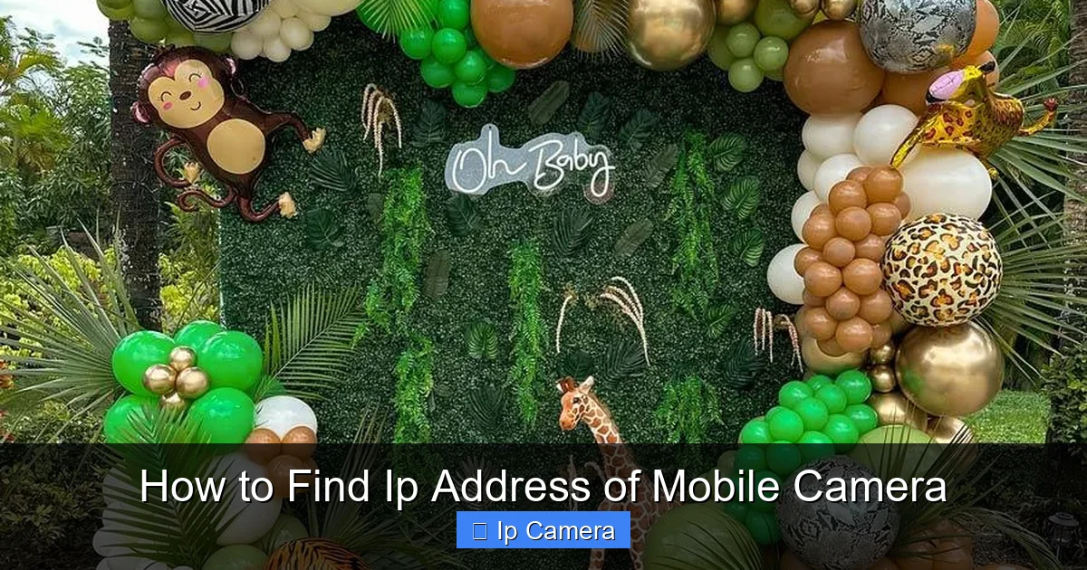 How to Find Ip Address of Mobile Camera