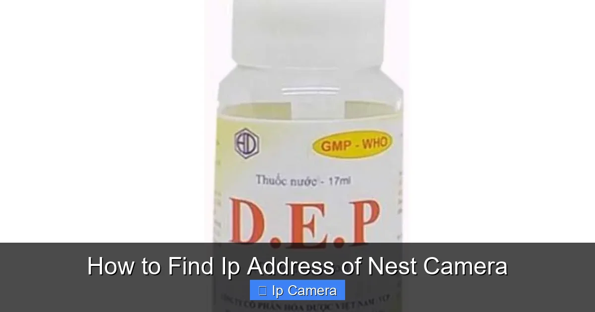 How to Find Ip Address of Nest Camera