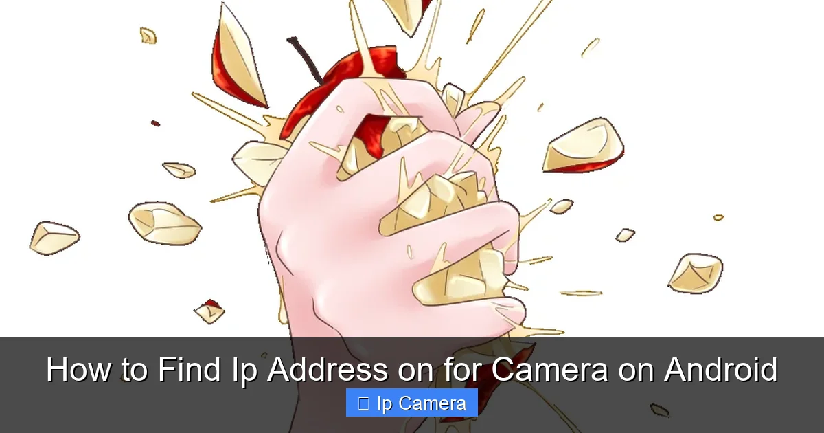 How to Find Ip Address on for Camera on Android