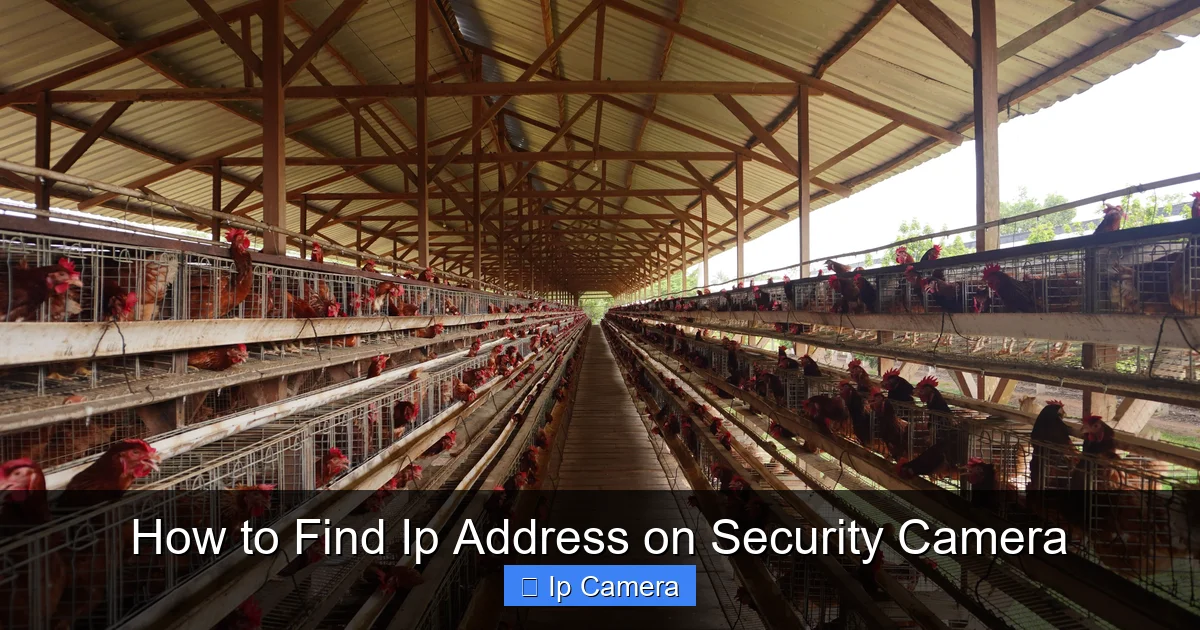 How to Find Ip Address on Security Camera