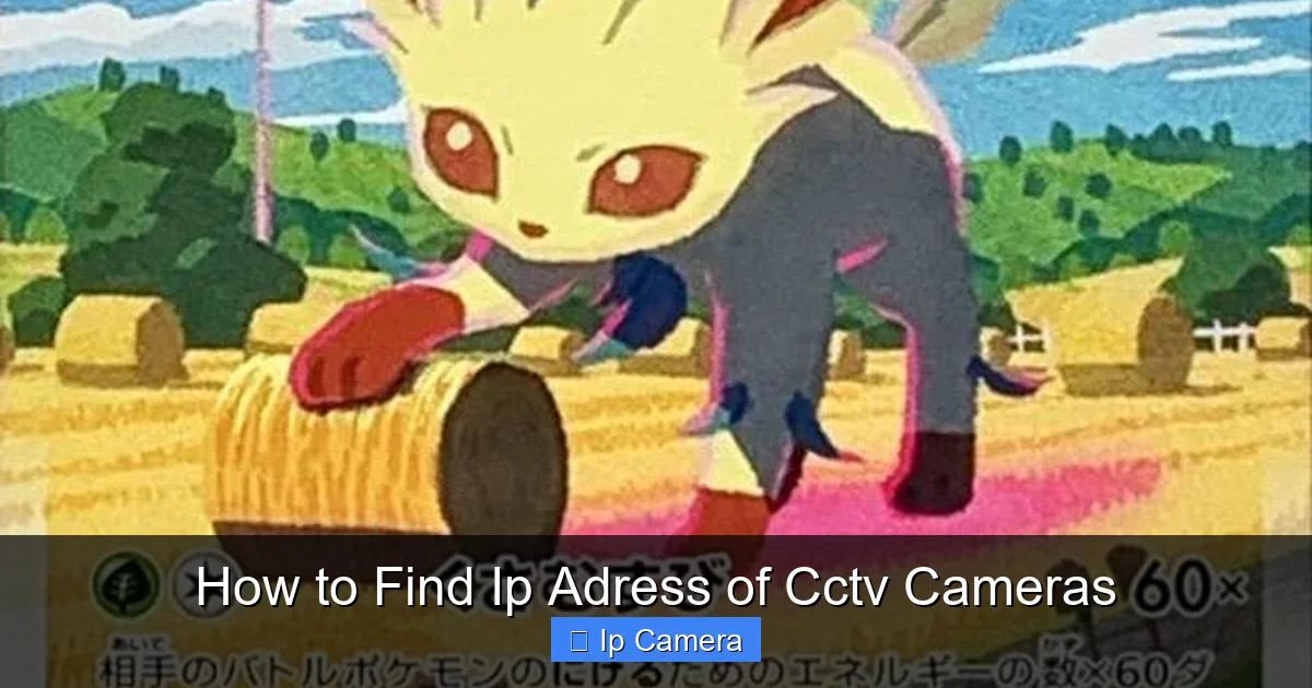 How to Find Ip Adress of Cctv Cameras