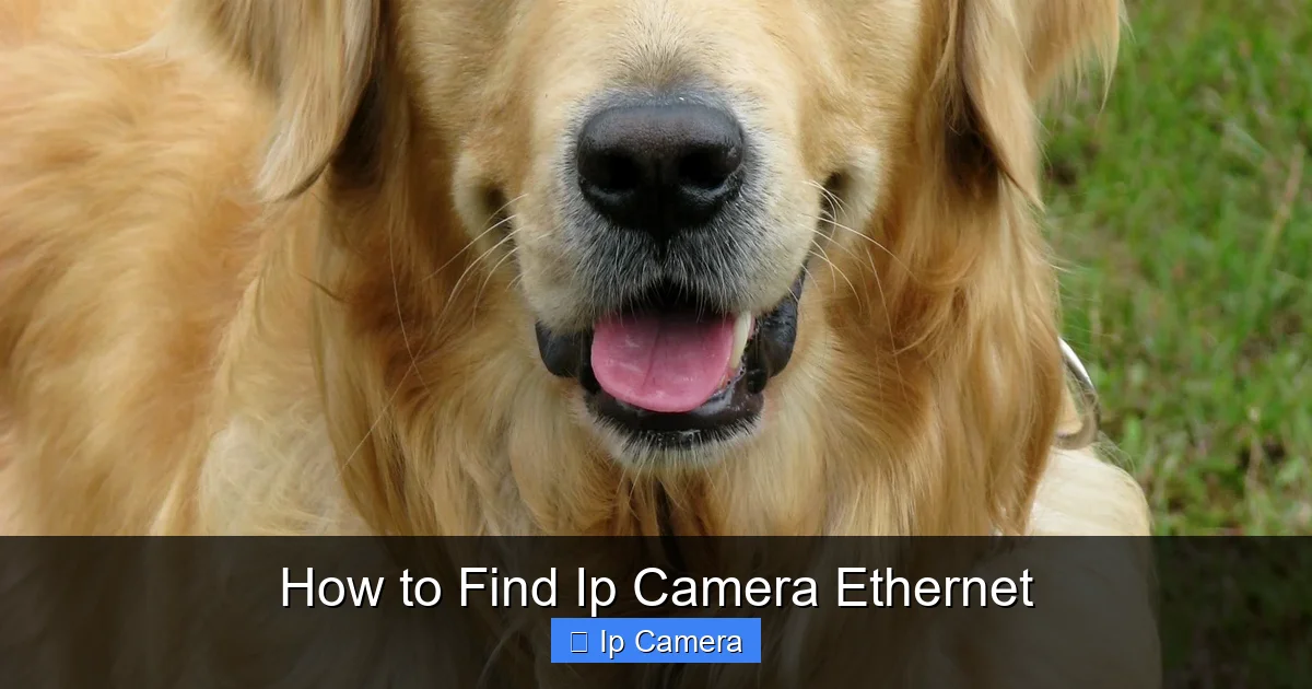 How to Find Ip Camera Ethernet