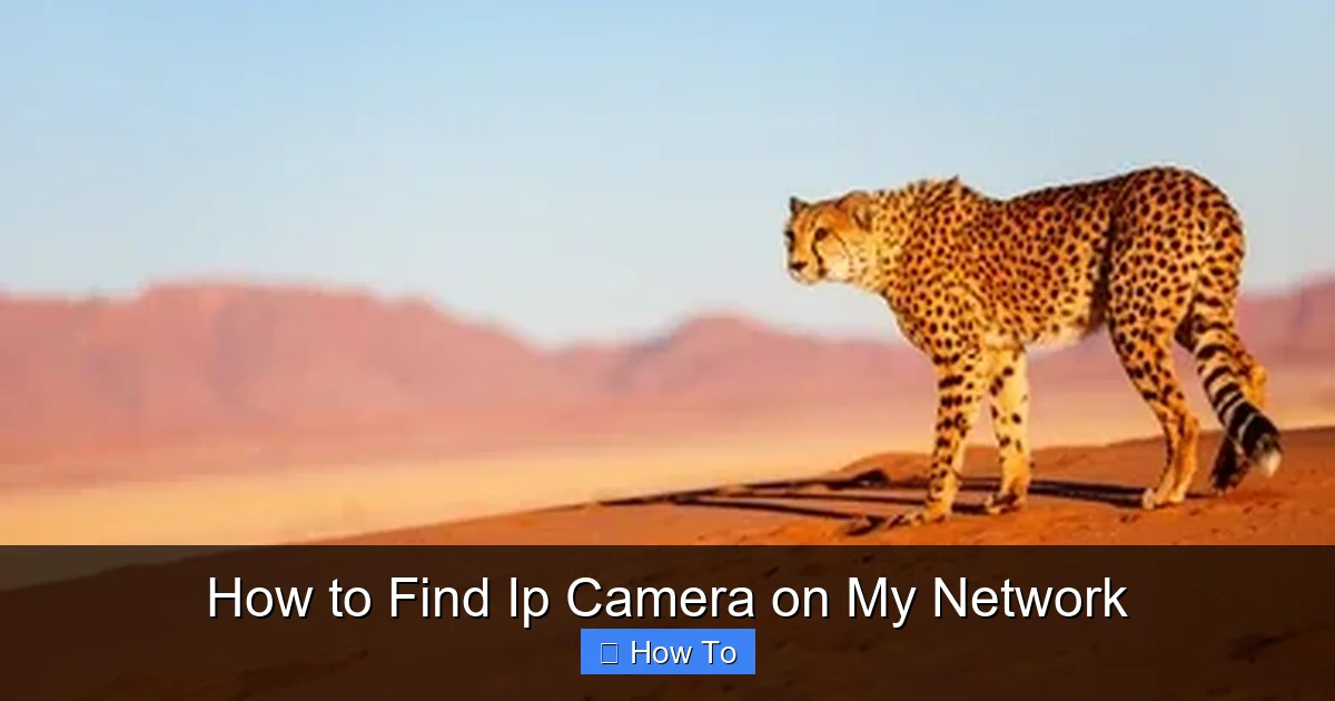 How to Find Ip Camera on My Network
