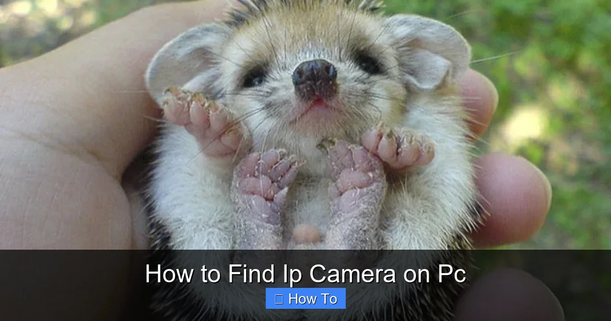 How to Find Ip Camera on Pc