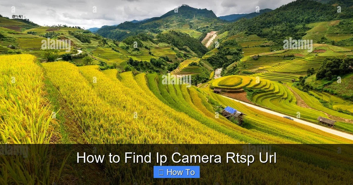 How to Find Ip Camera Rtsp Url