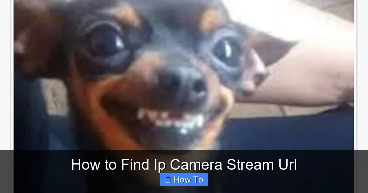 How to Find Ip Camera Stream Url