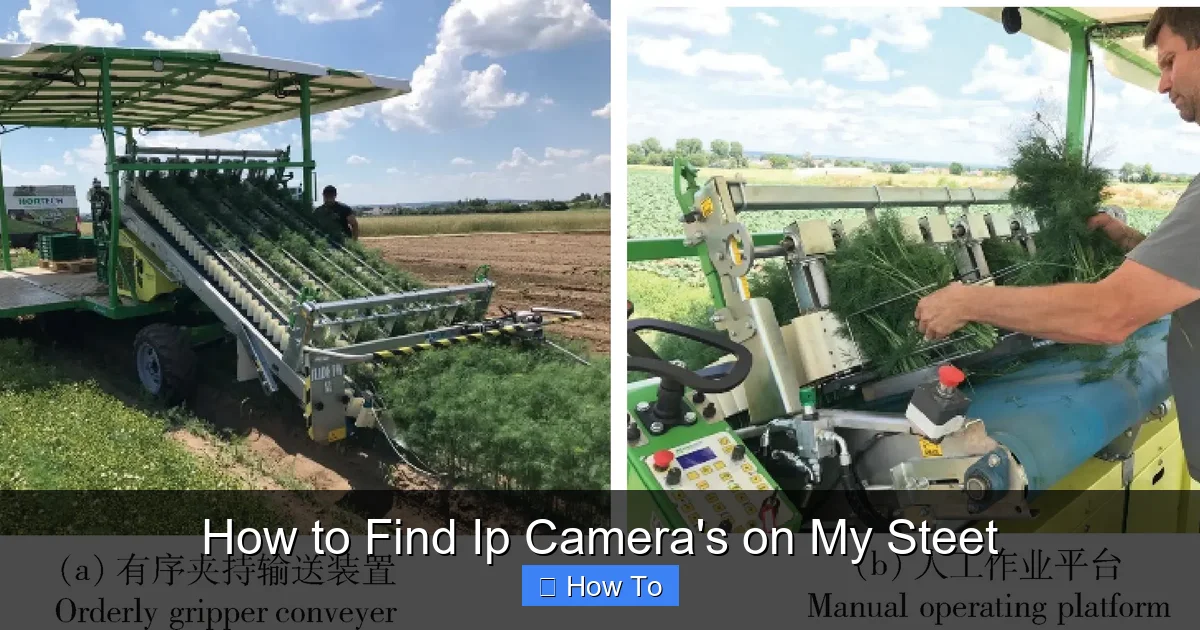 How to Find Ip Camera's on My Steet