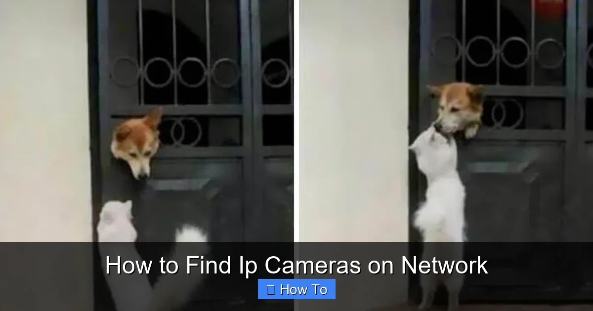 How to Find Ip Cameras on Network