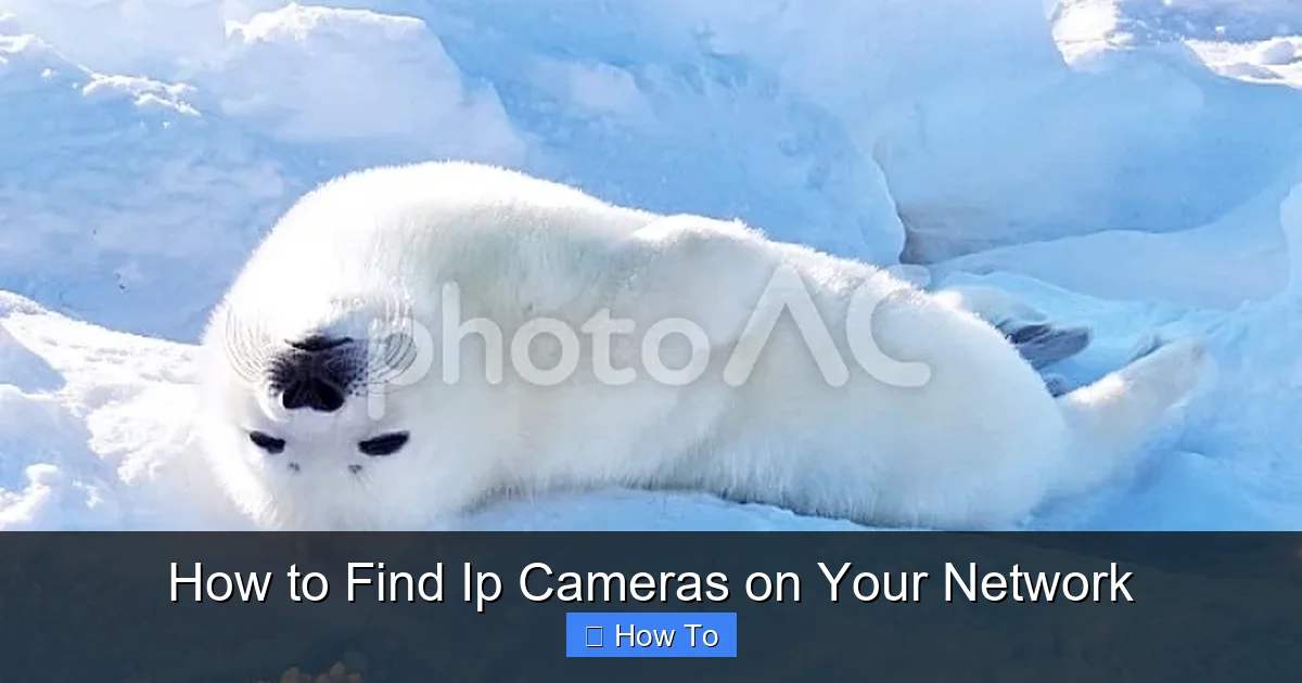 How to Find Ip Cameras on Your Network