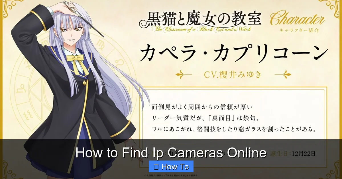 How to Find Ip Cameras Online