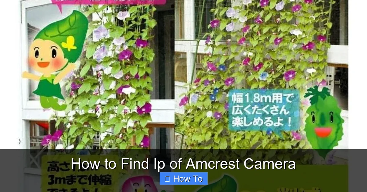 How to Find Ip of Amcrest Camera