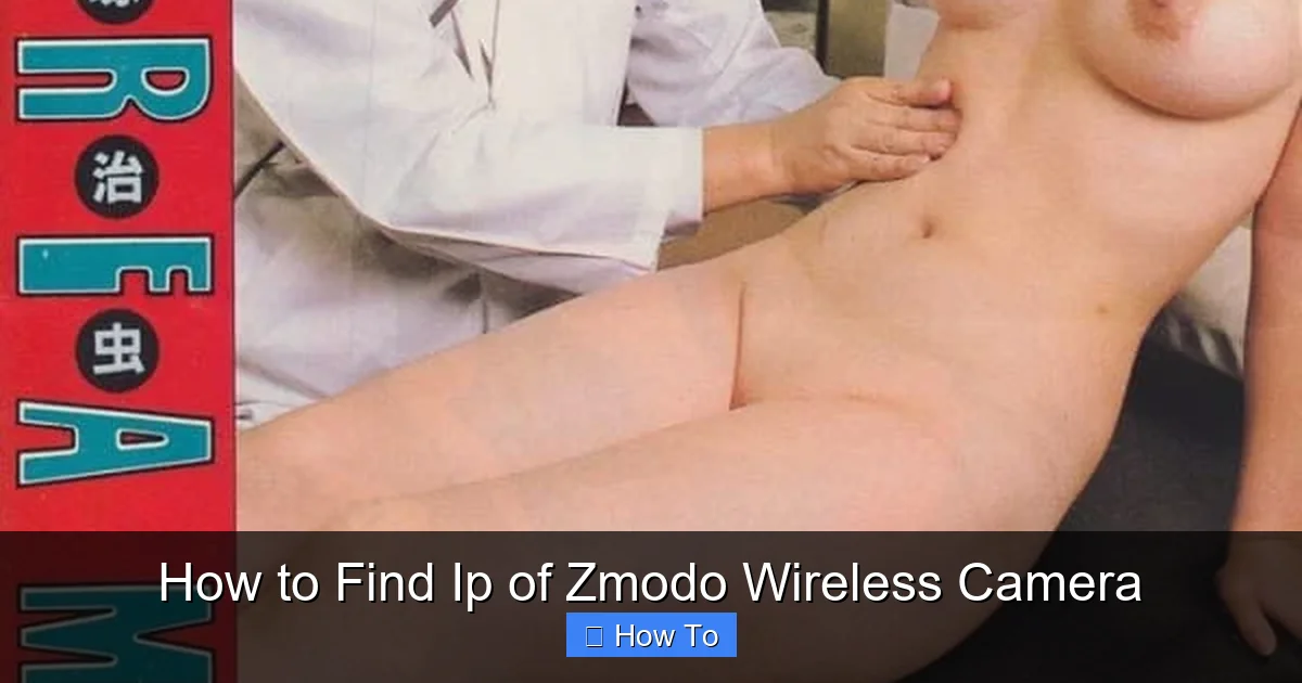 How to Find Ip of Zmodo Wireless Camera