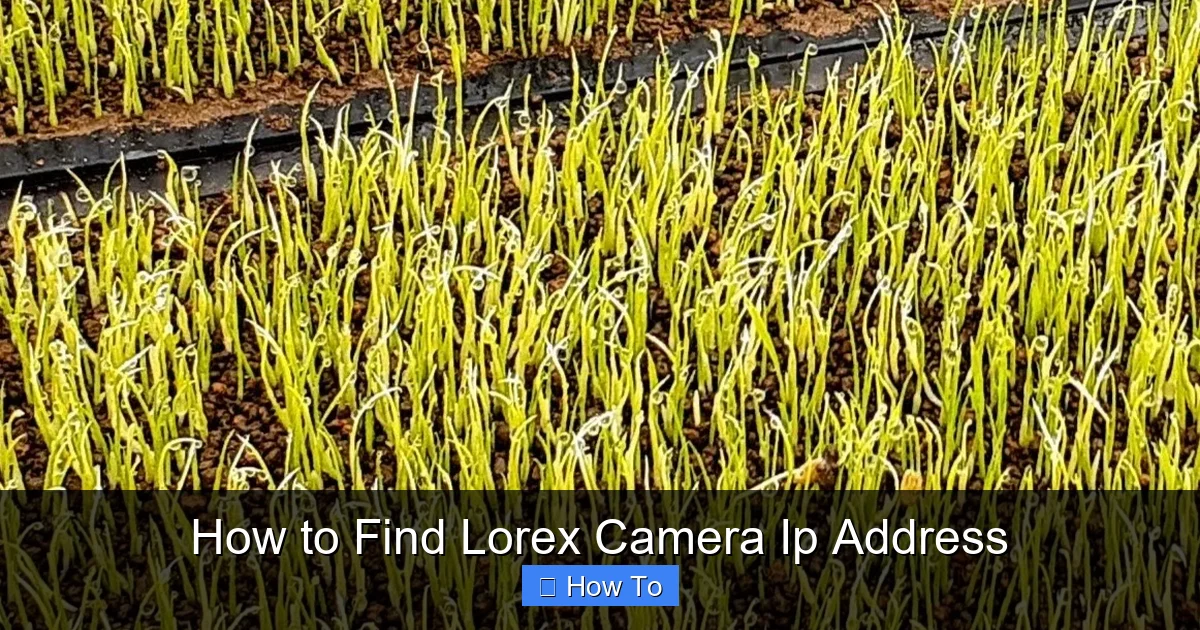 How to Find Lorex Camera Ip Address