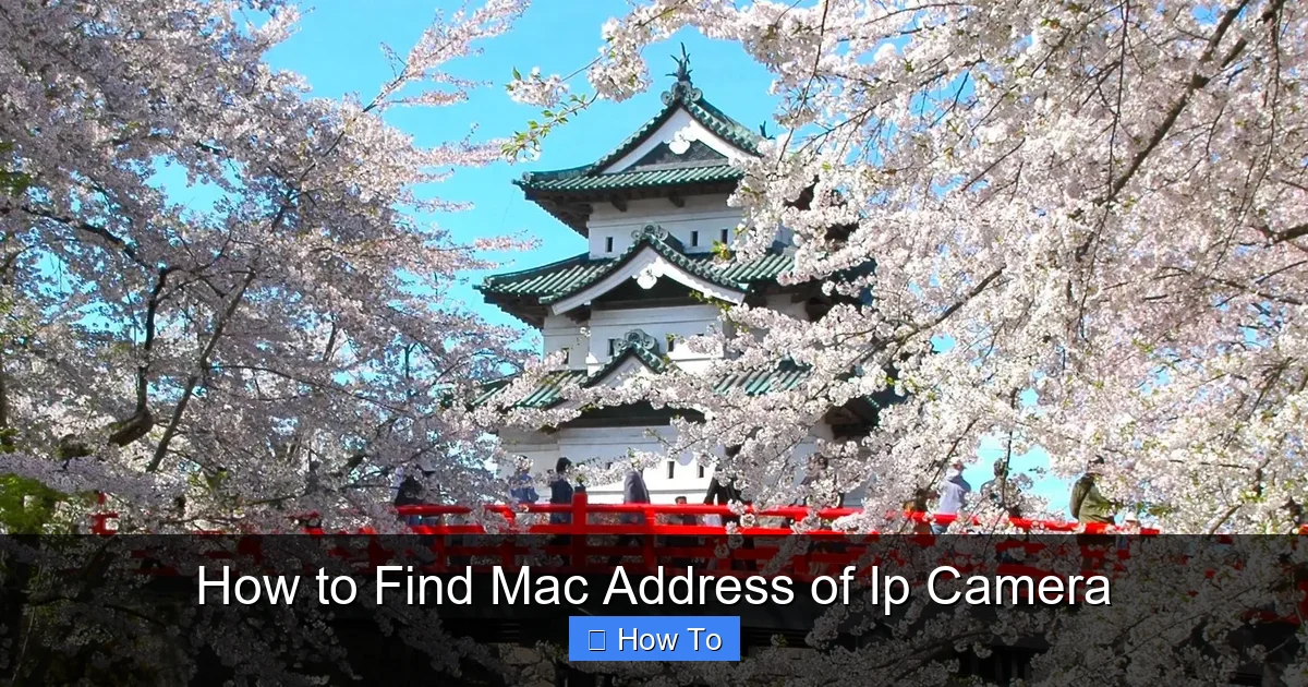 How to Find Mac Address of Ip Camera