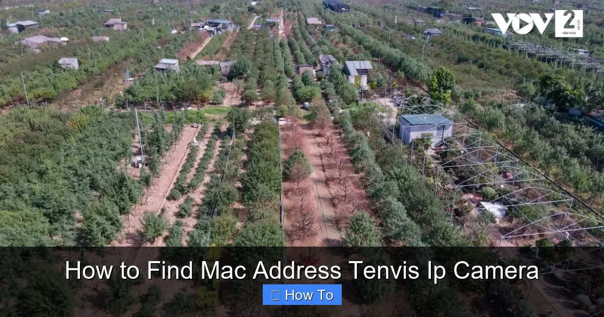 How to Find Mac Address Tenvis Ip Camera