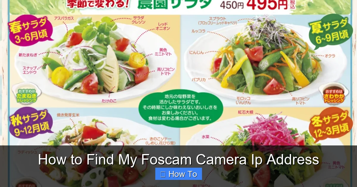 How to Find My Foscam Camera Ip Address