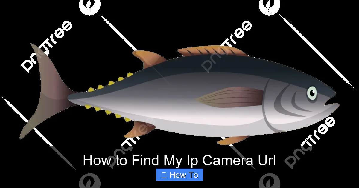 How to Find My Ip Camera Url