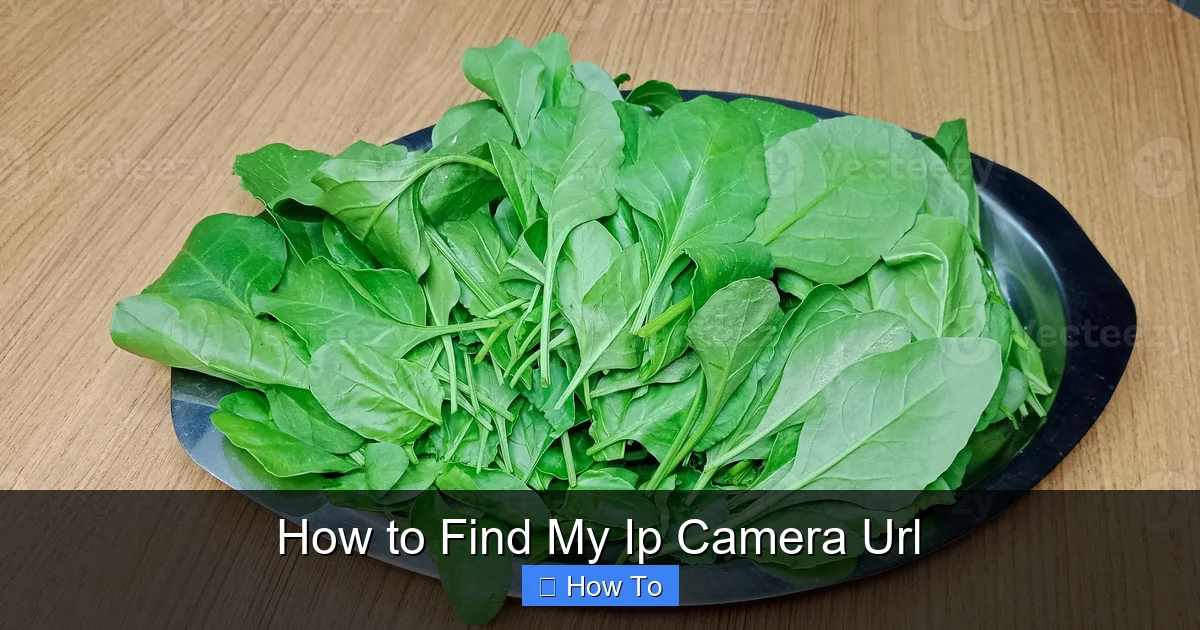 How to Find My Ip Camera Url