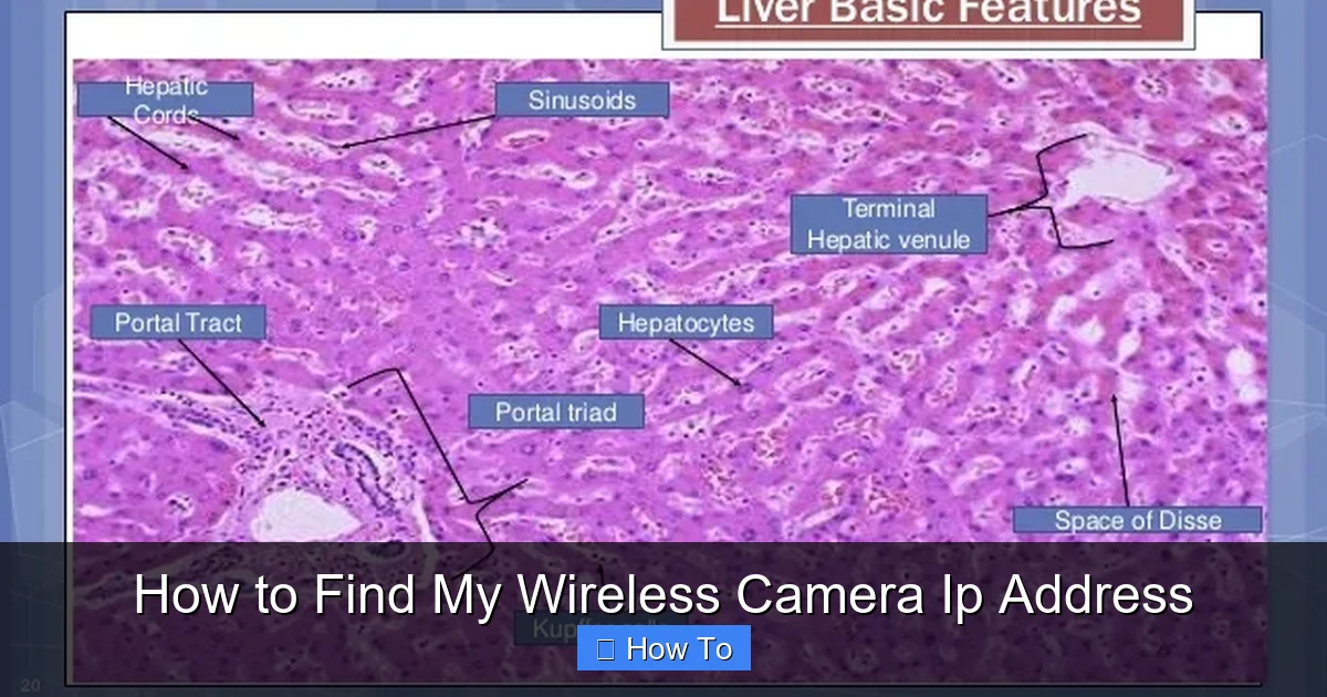 How to Find My Wireless Camera Ip Address